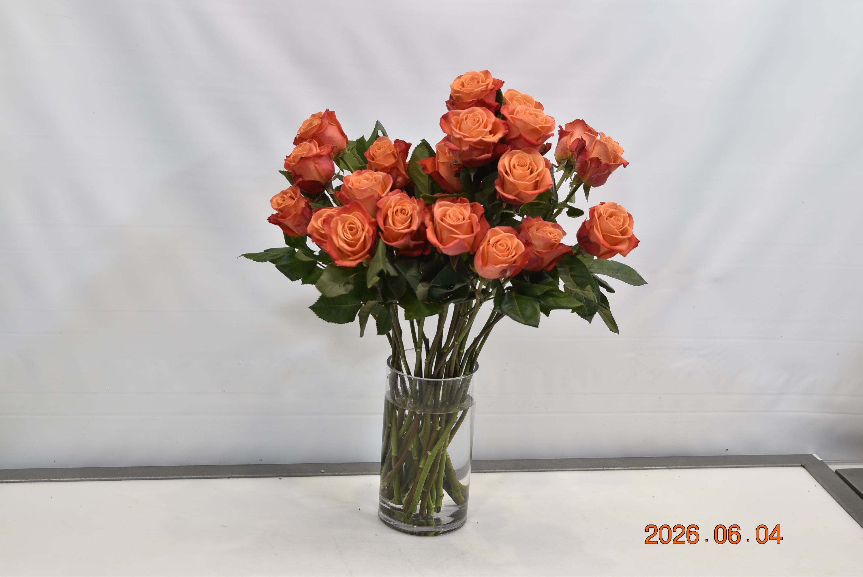 ROSE ORANGE CRUSH Small