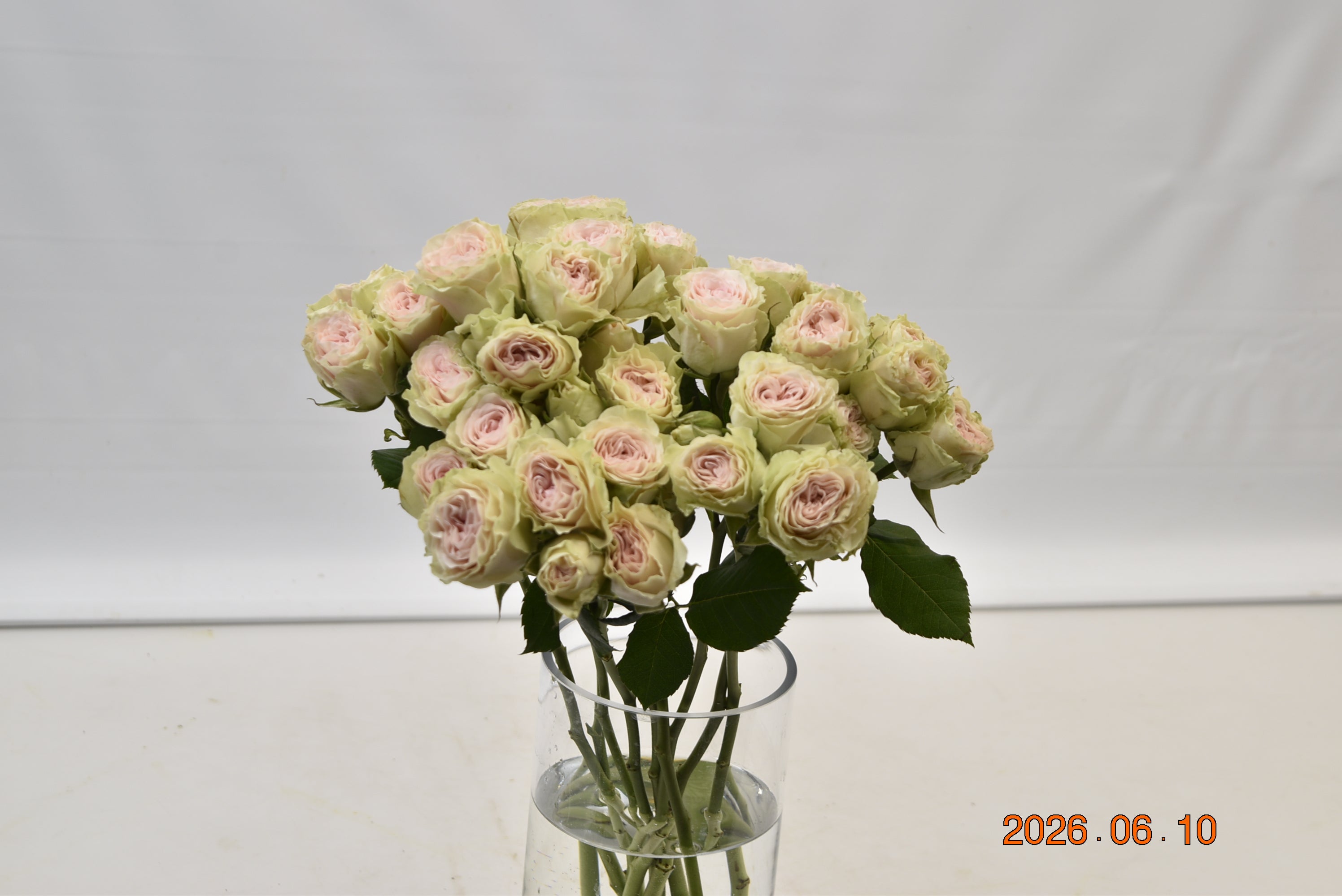 Rose Spray Fibonacci Yantra Small