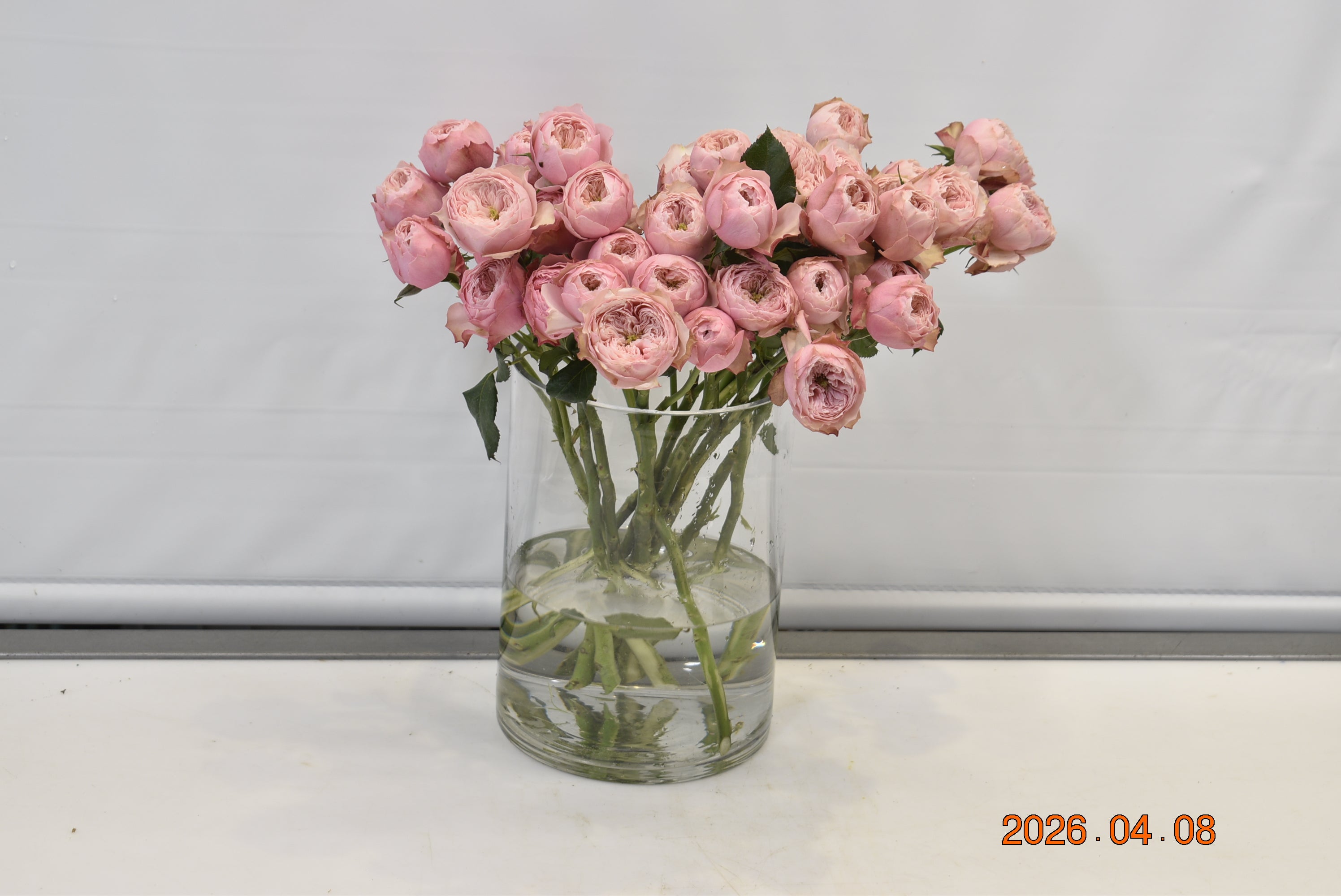 Rose Spray Northanger Small