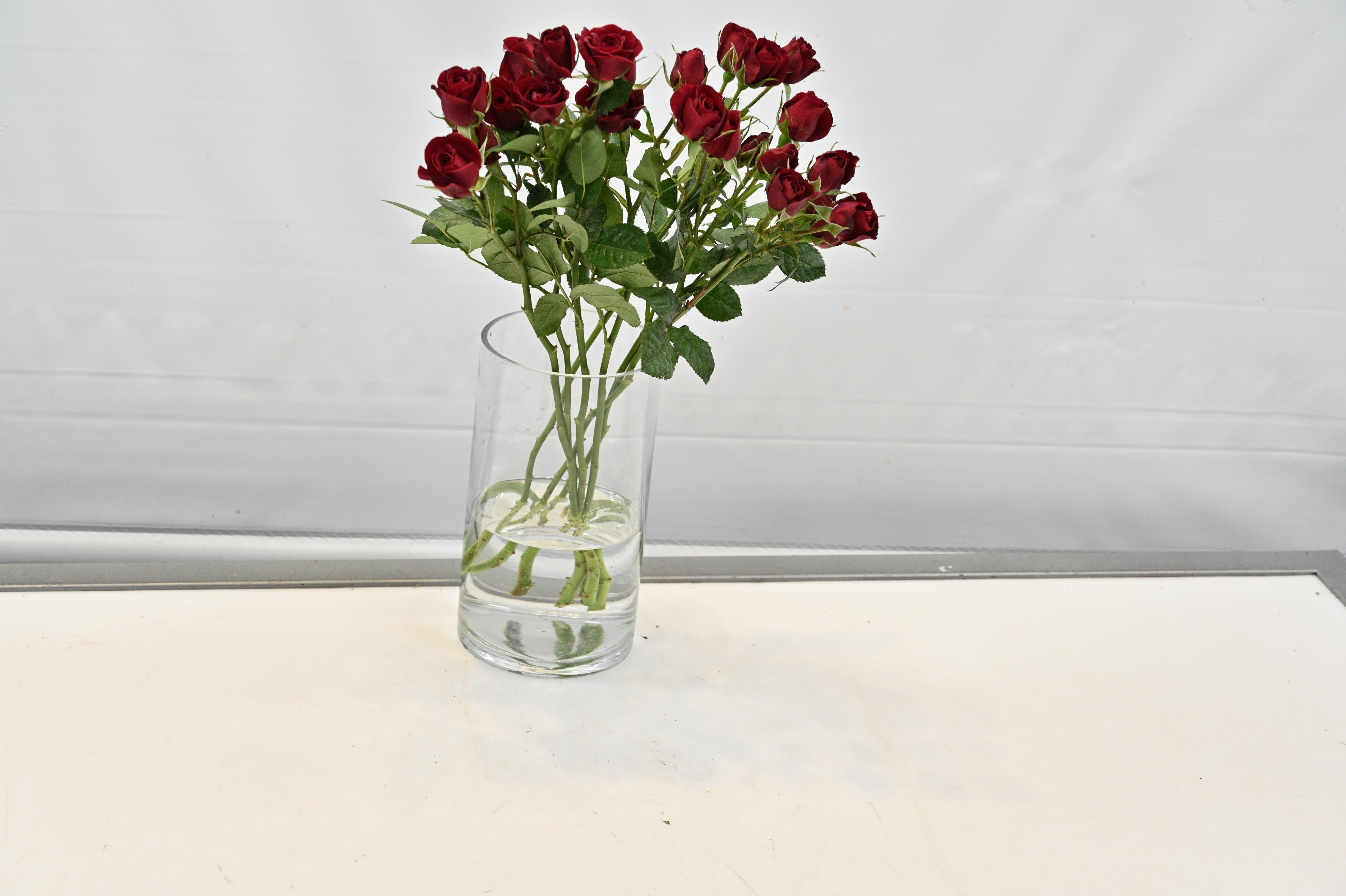 ROSE SPRAY RUBICON Small