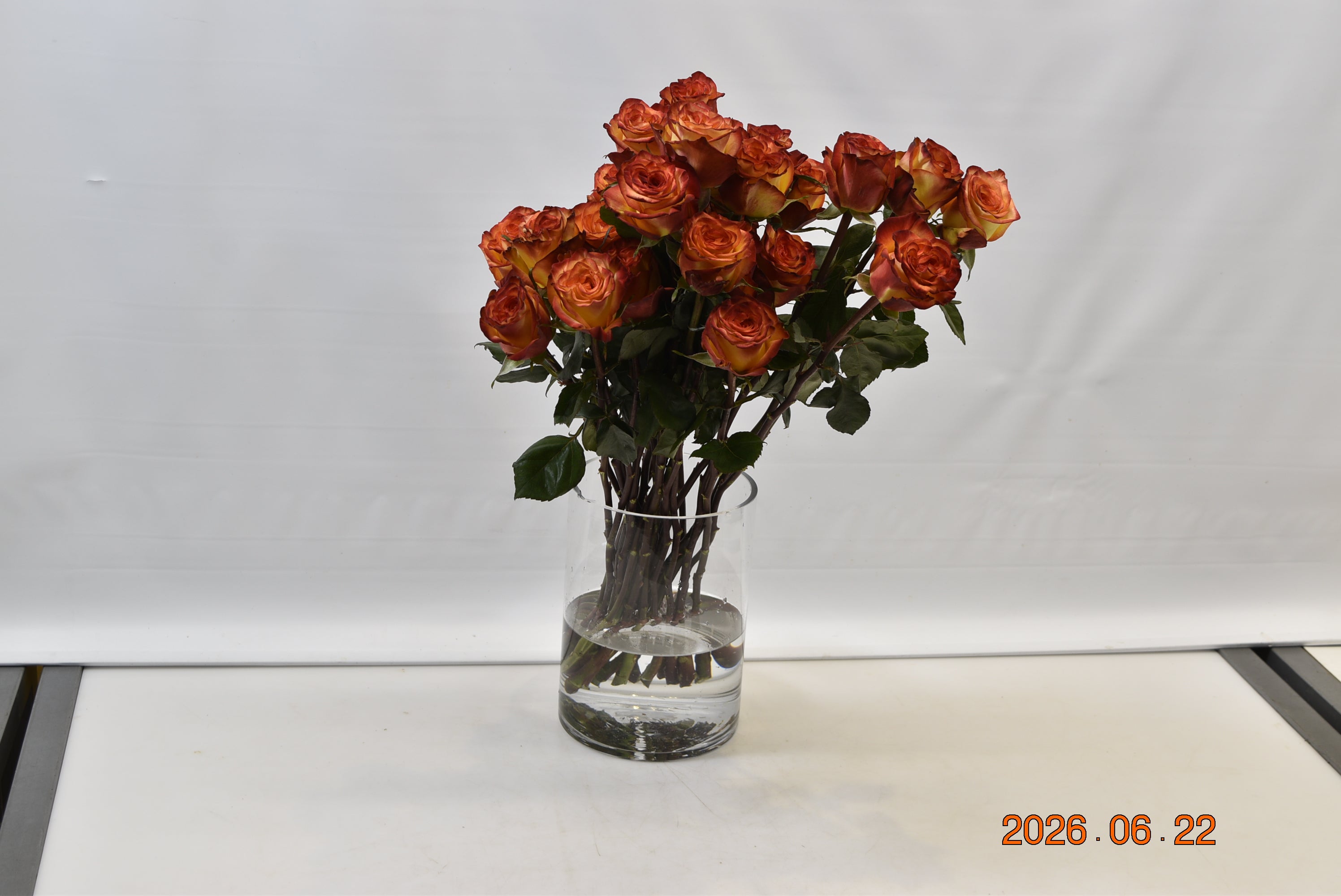 ROSE HIGH & MAGIC Small