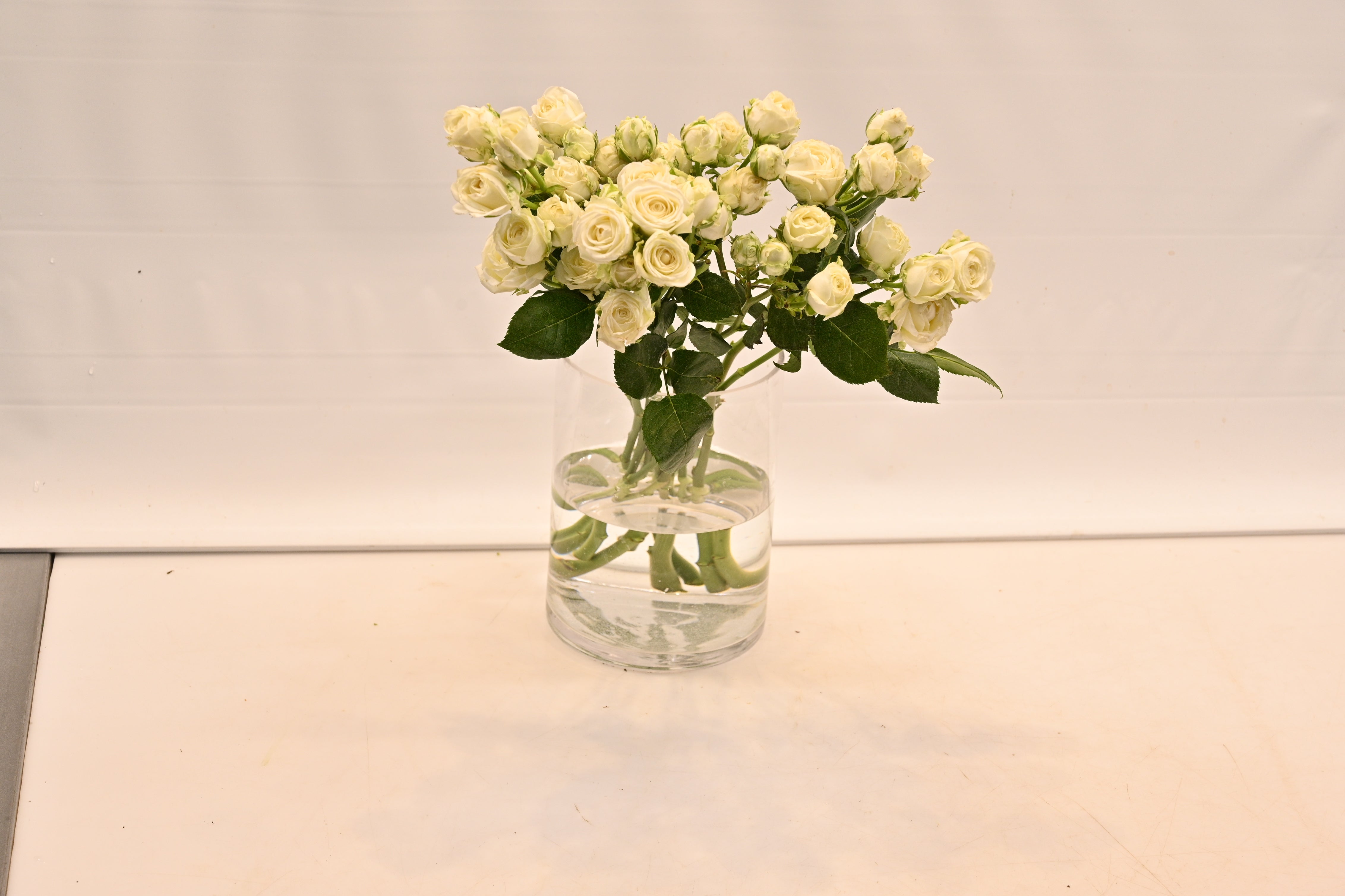 Rose Spray Arctic Flow Small