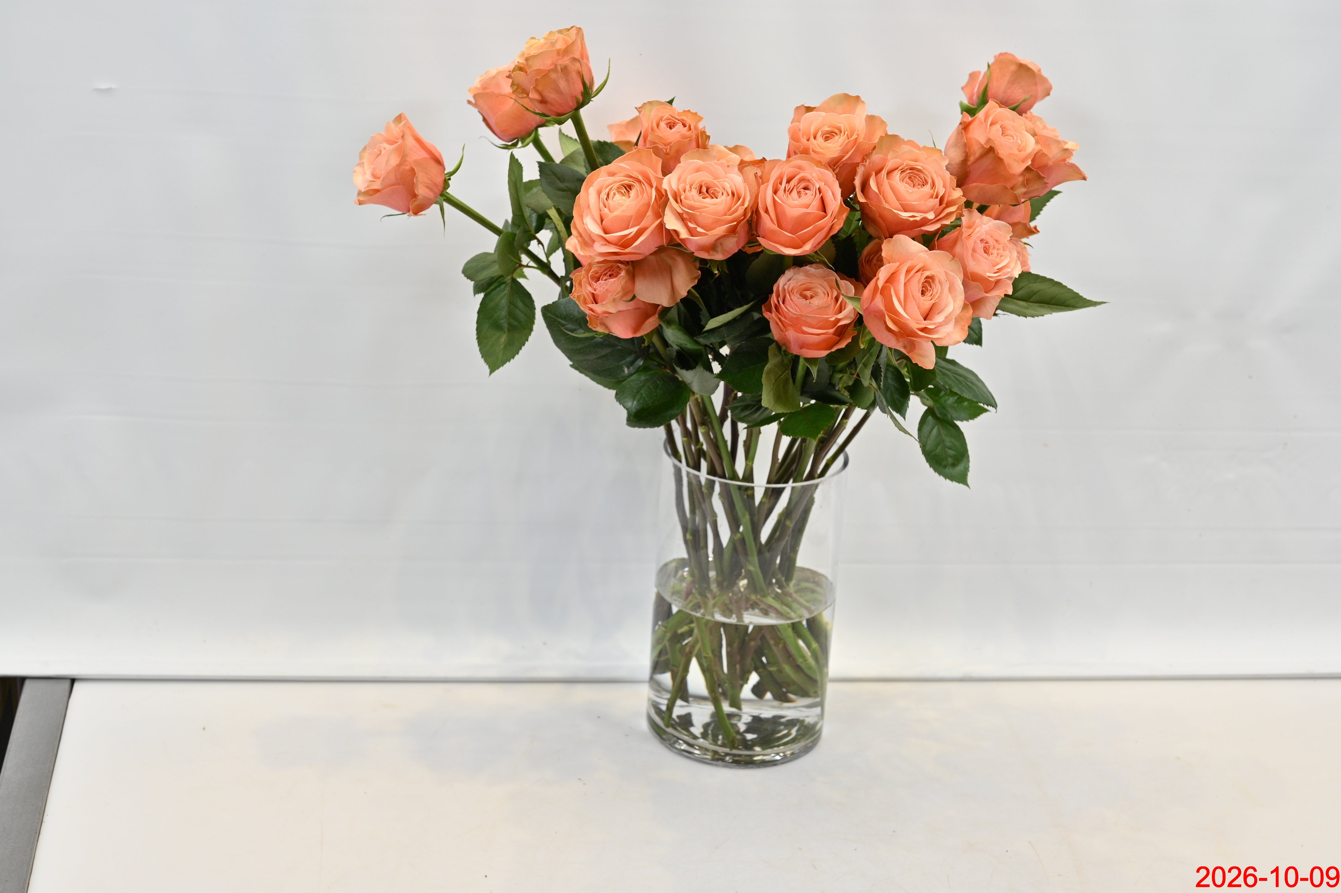 ROSE KAHALA Small