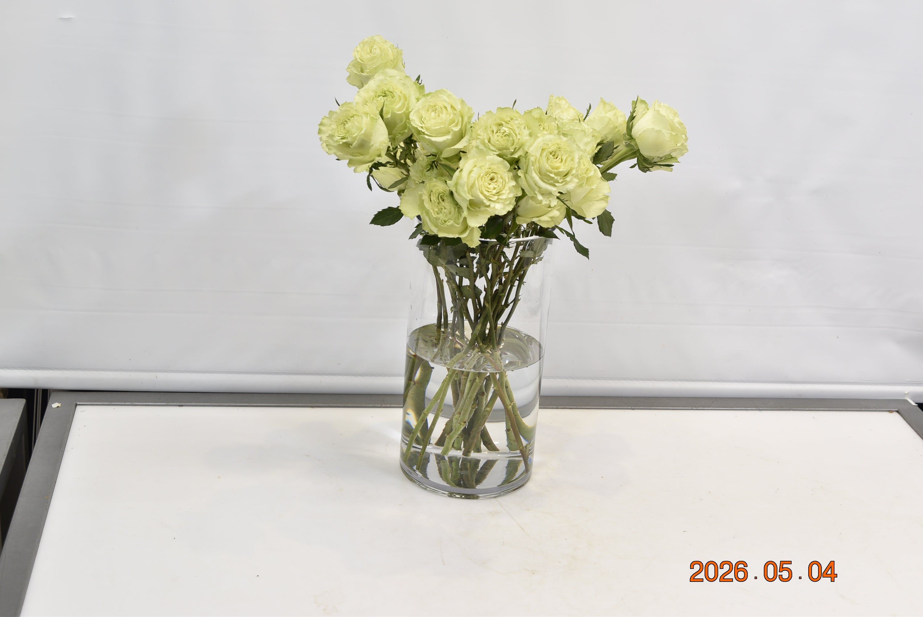 ROSE LEMONADE Small