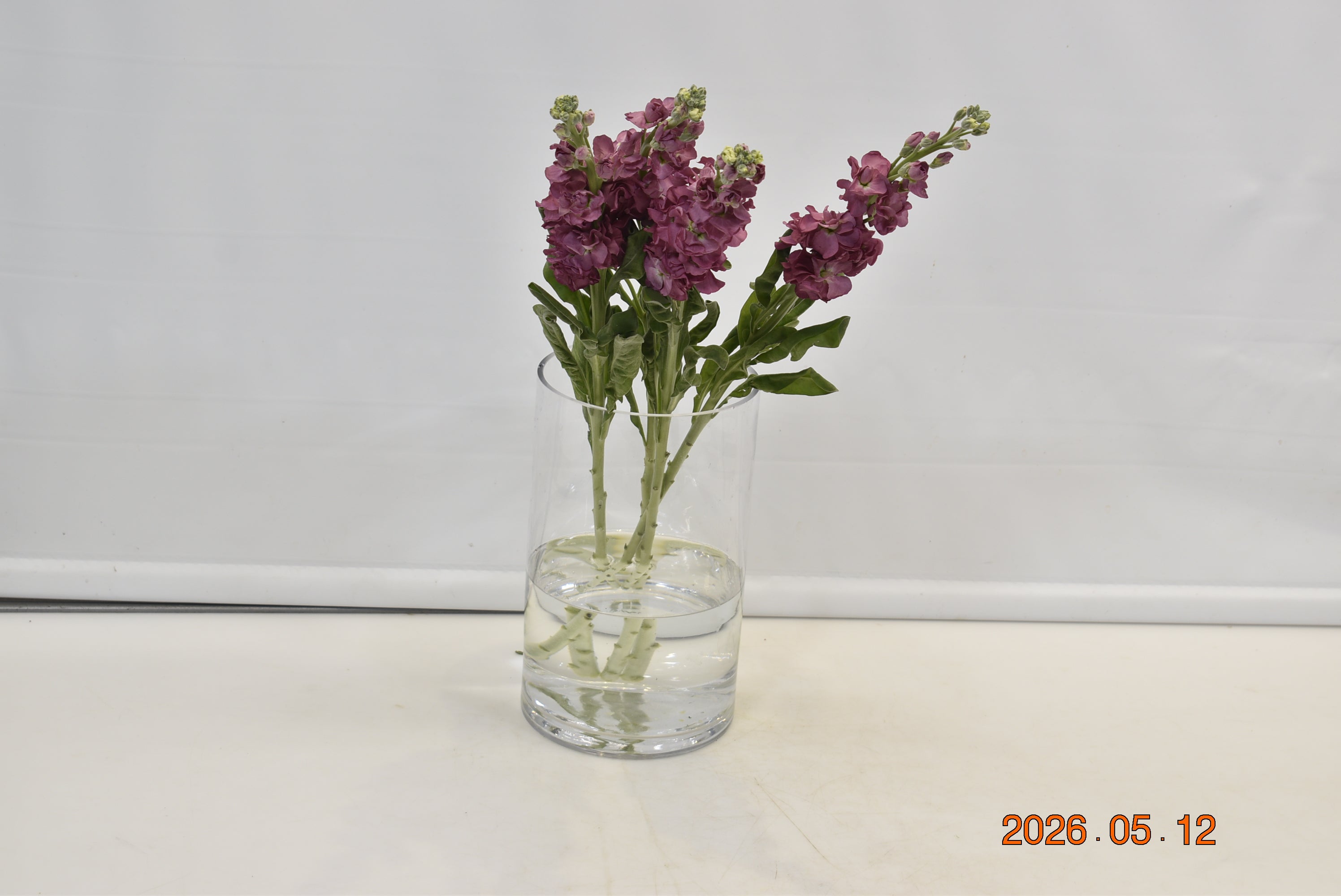 Stock Vintage Copper Small