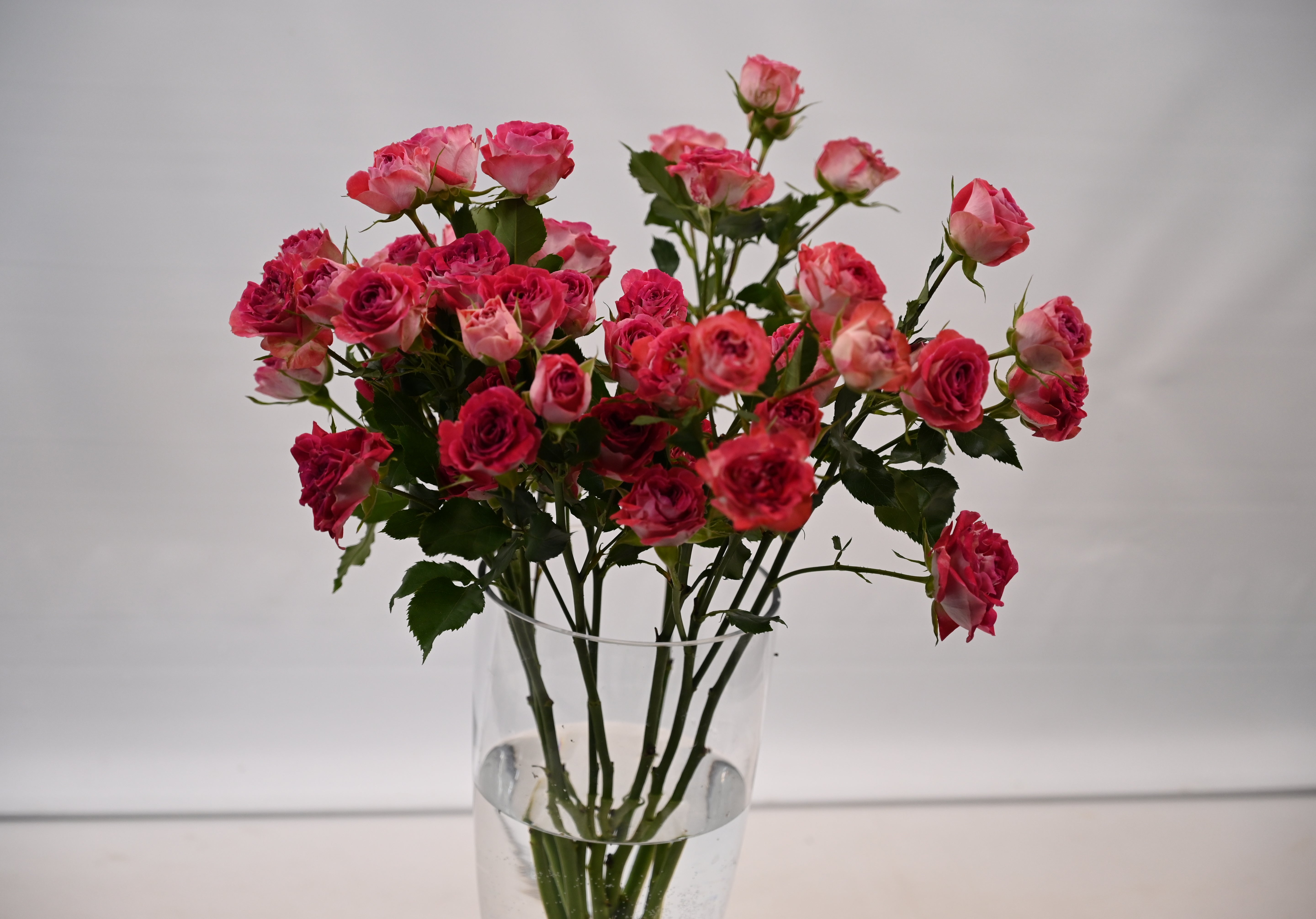 ROSE SPRAY NATHALIE Small