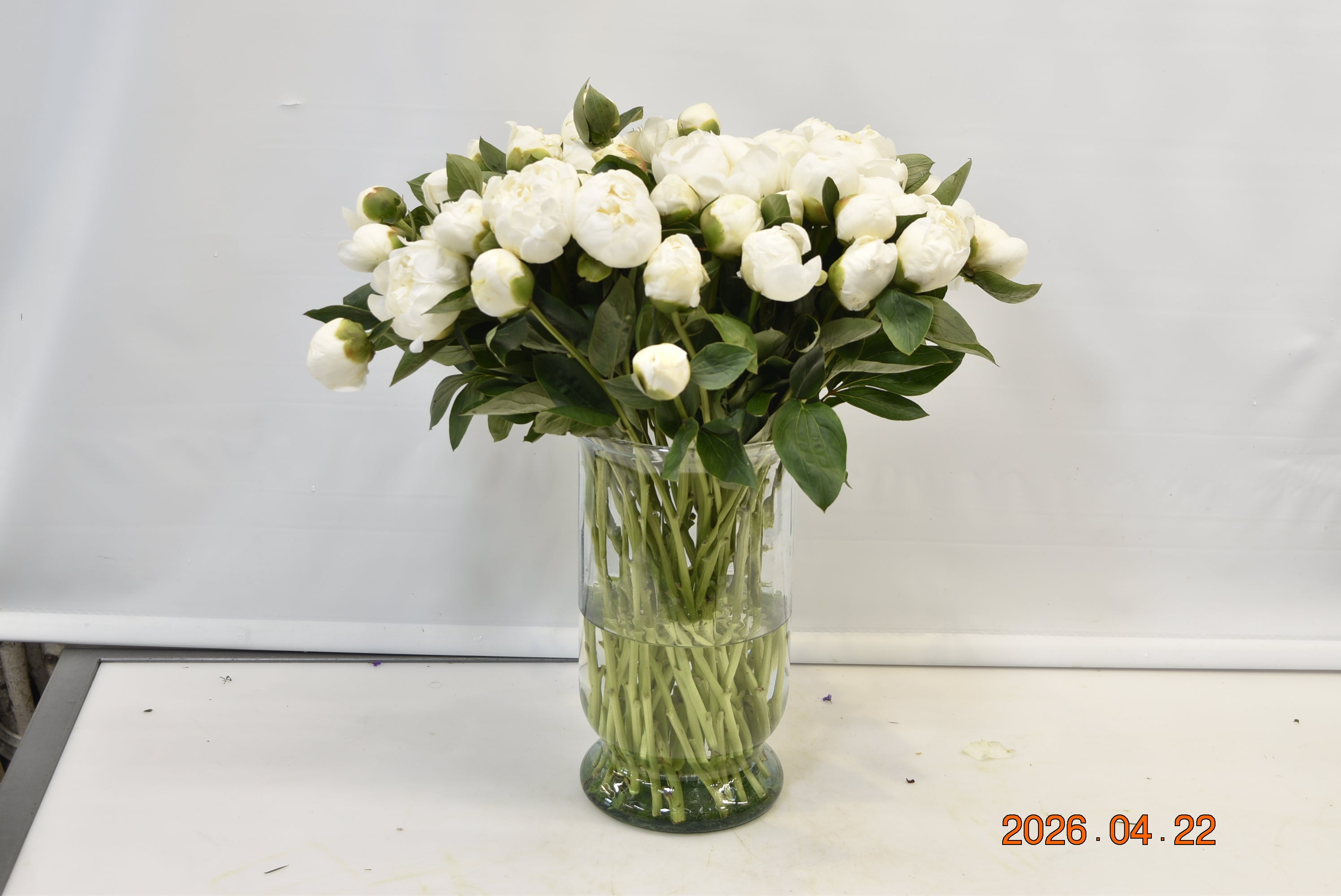 PEONY BRIDAL SHOWER Small