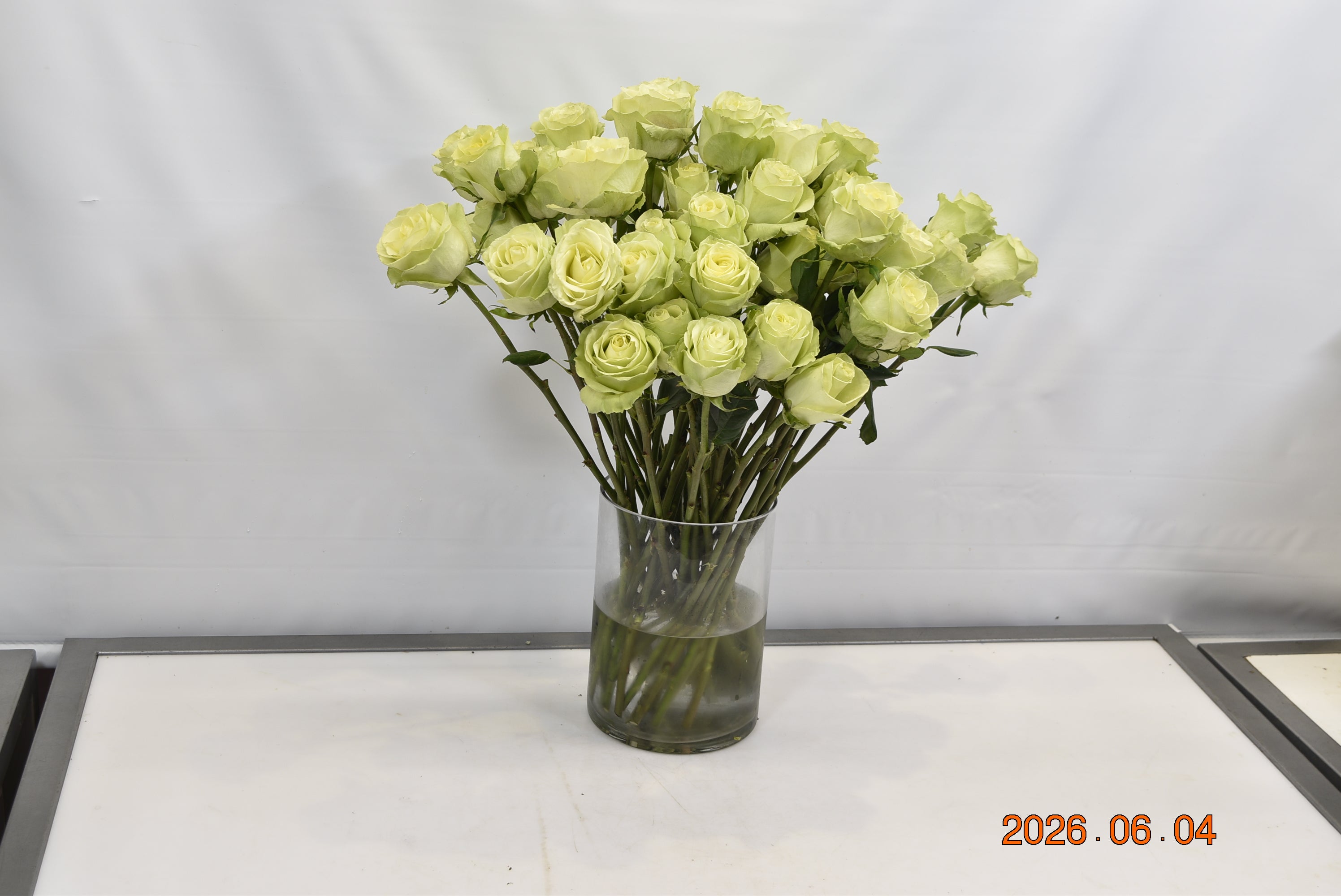 ROSE LEMONADE Small