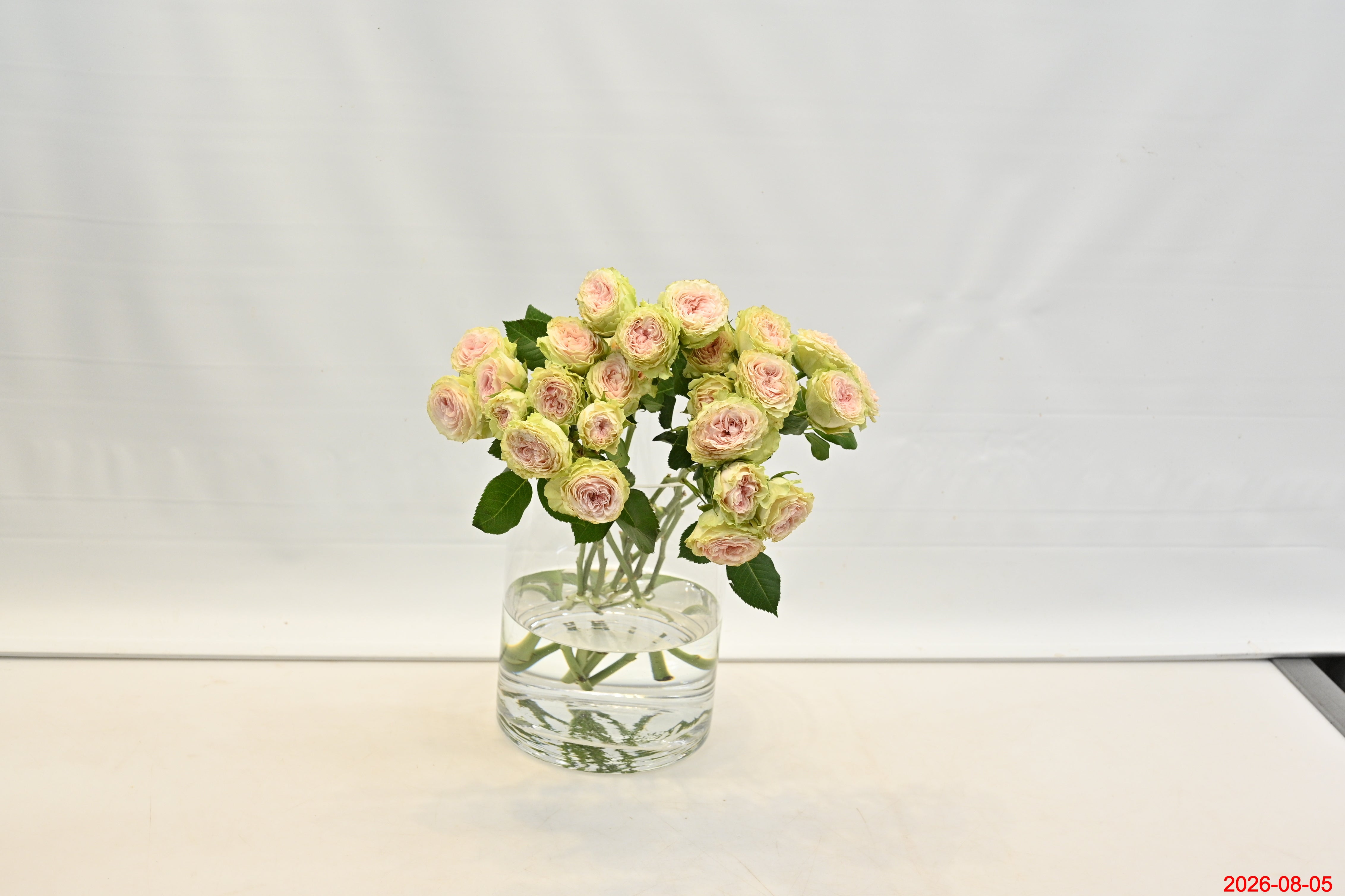 Rose Spray Fibonacci Yantra Small