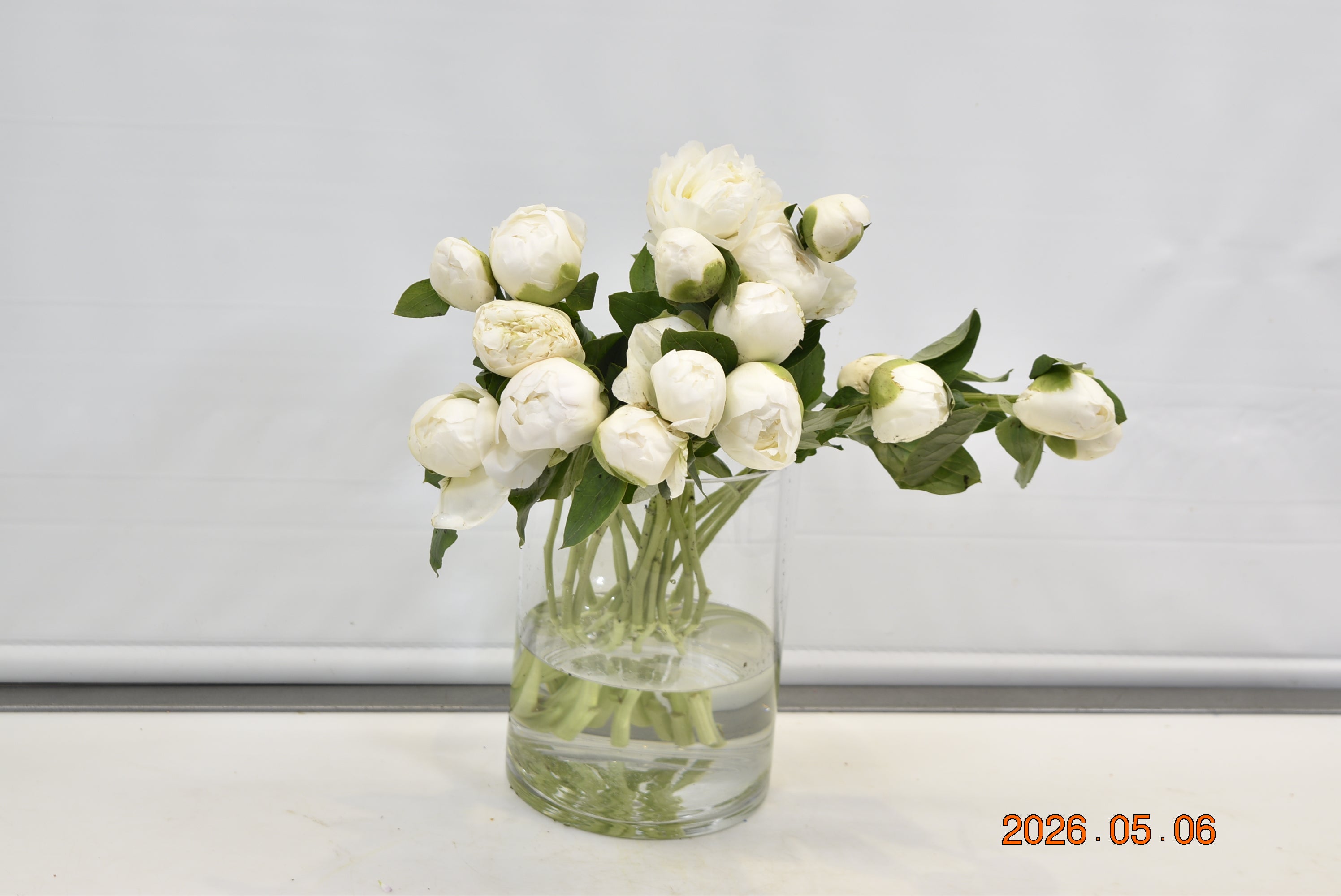 PEONY BOWL OF CREAM Small