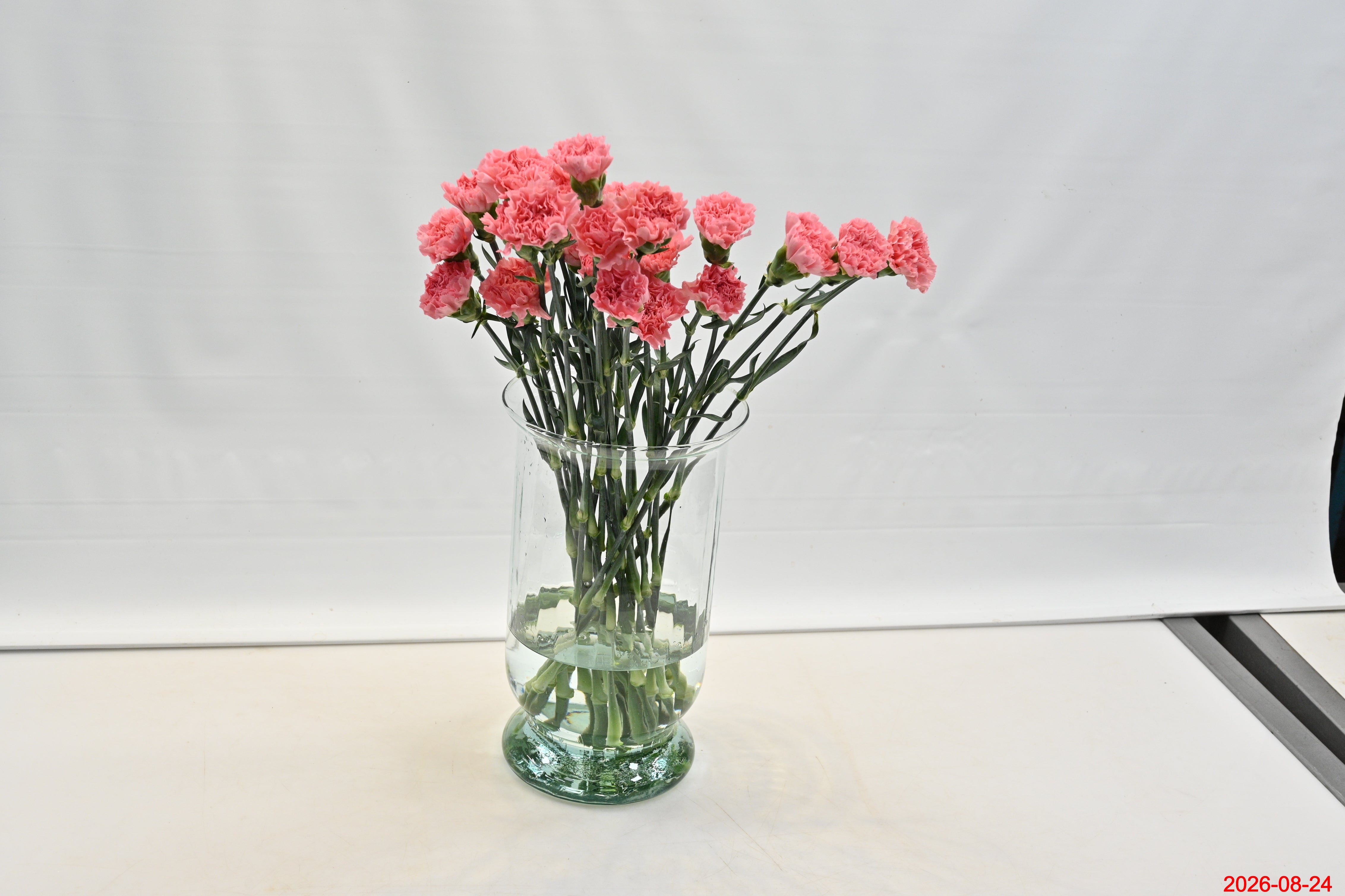 CARNATION KAORI Small