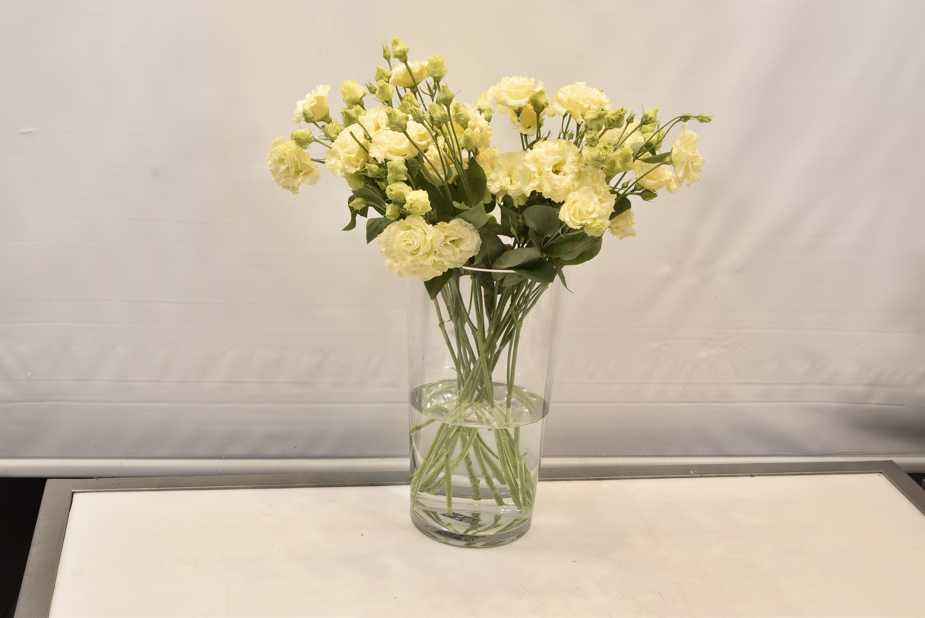 LISIANTHUS YELLOW RF Small