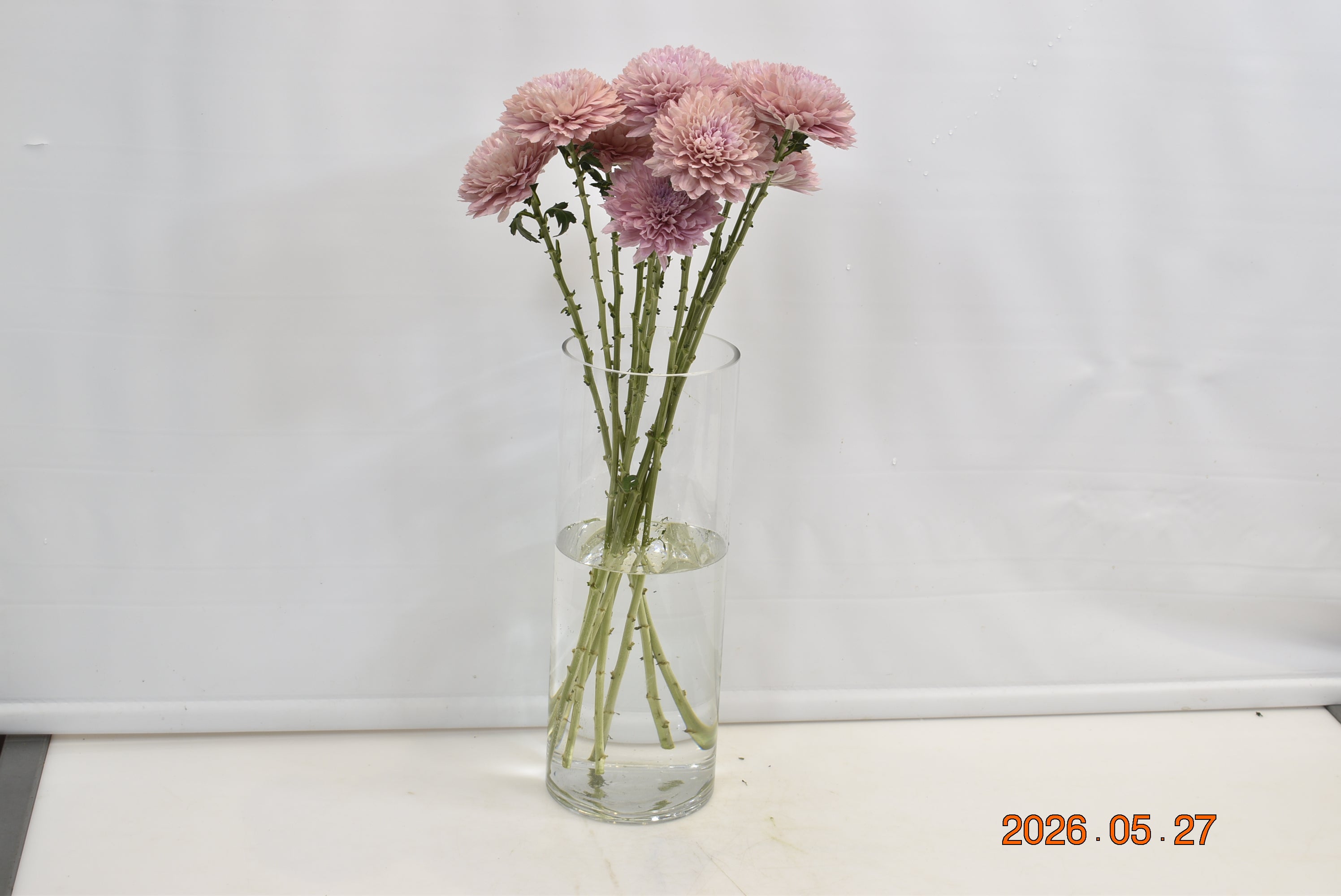 Cremone Boda Small