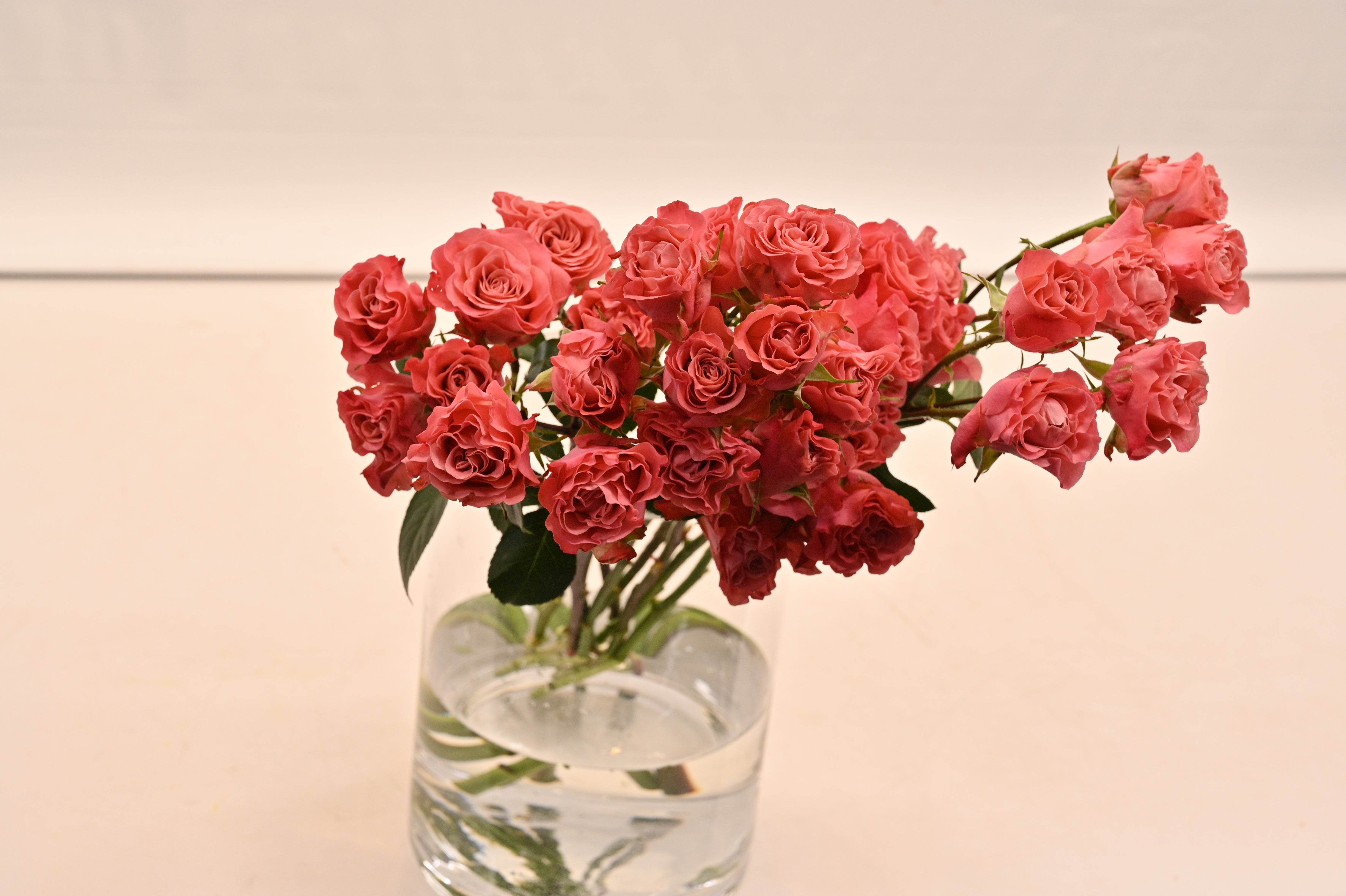 Rose Spray Valentina Small