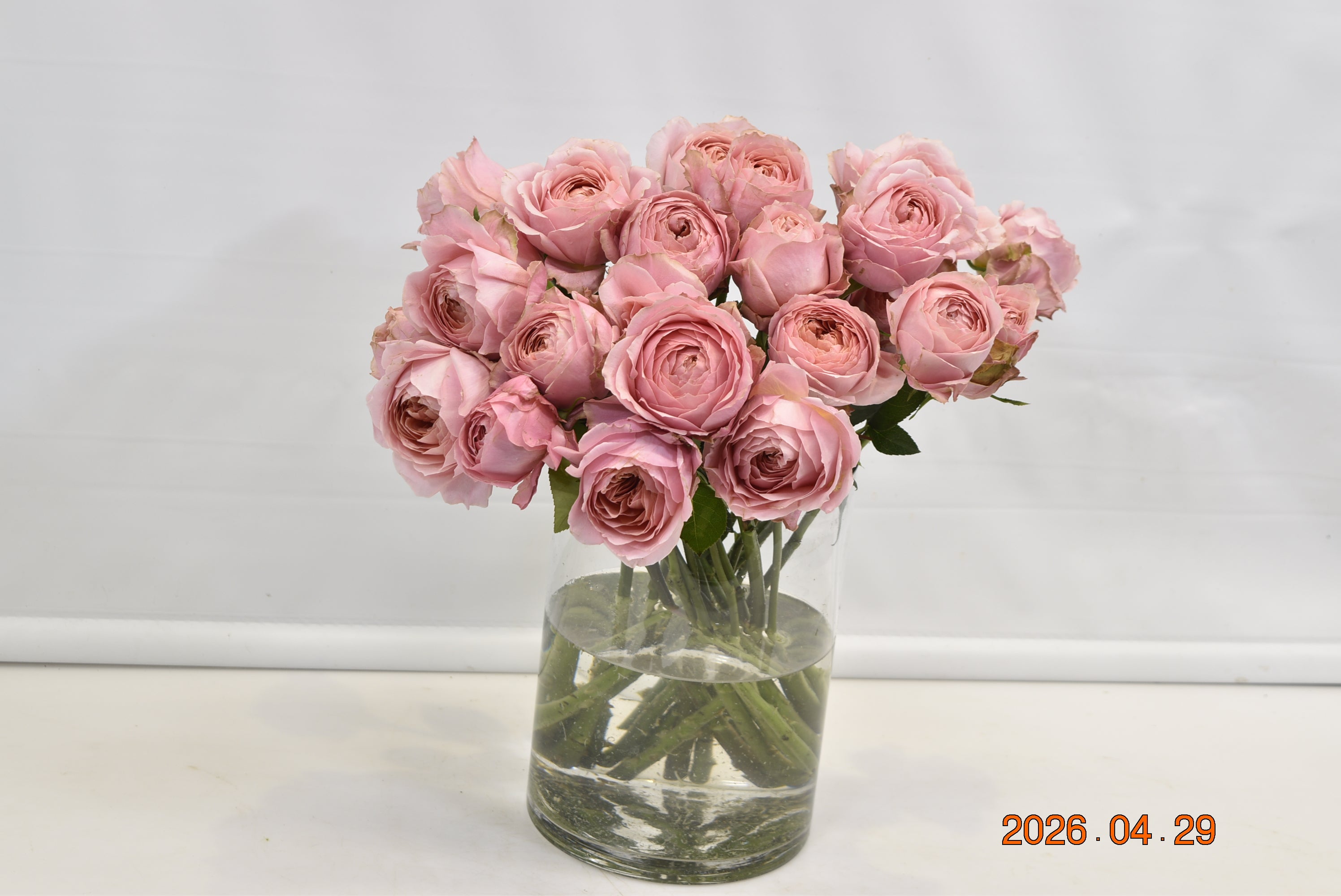 Rose Spray Romantic Antike Freelander Small