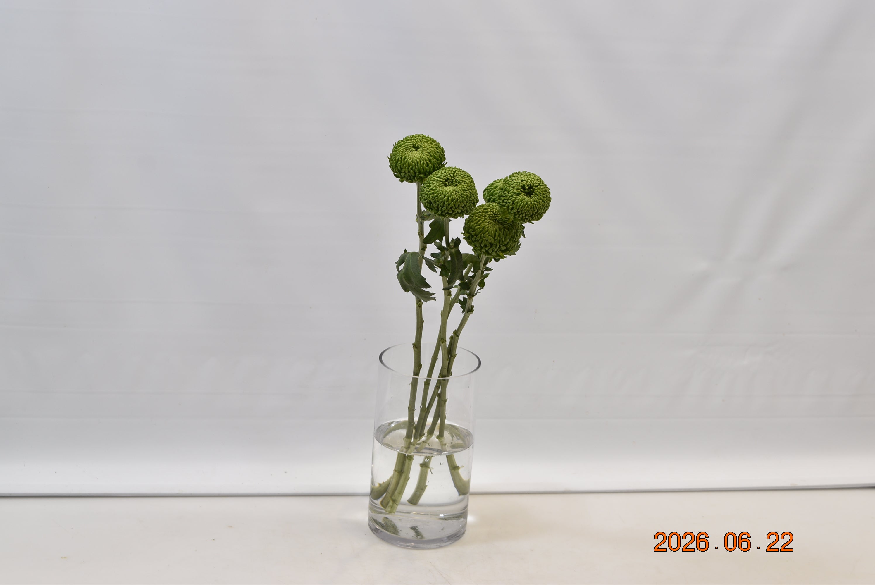 CREMONE BOMBELLINI Small