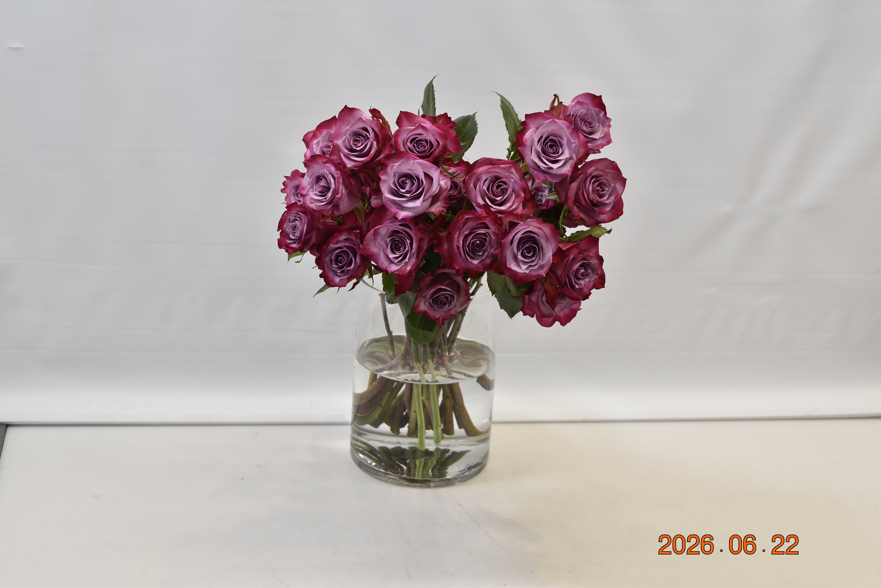 ROSE DEEP PURPLE Small
