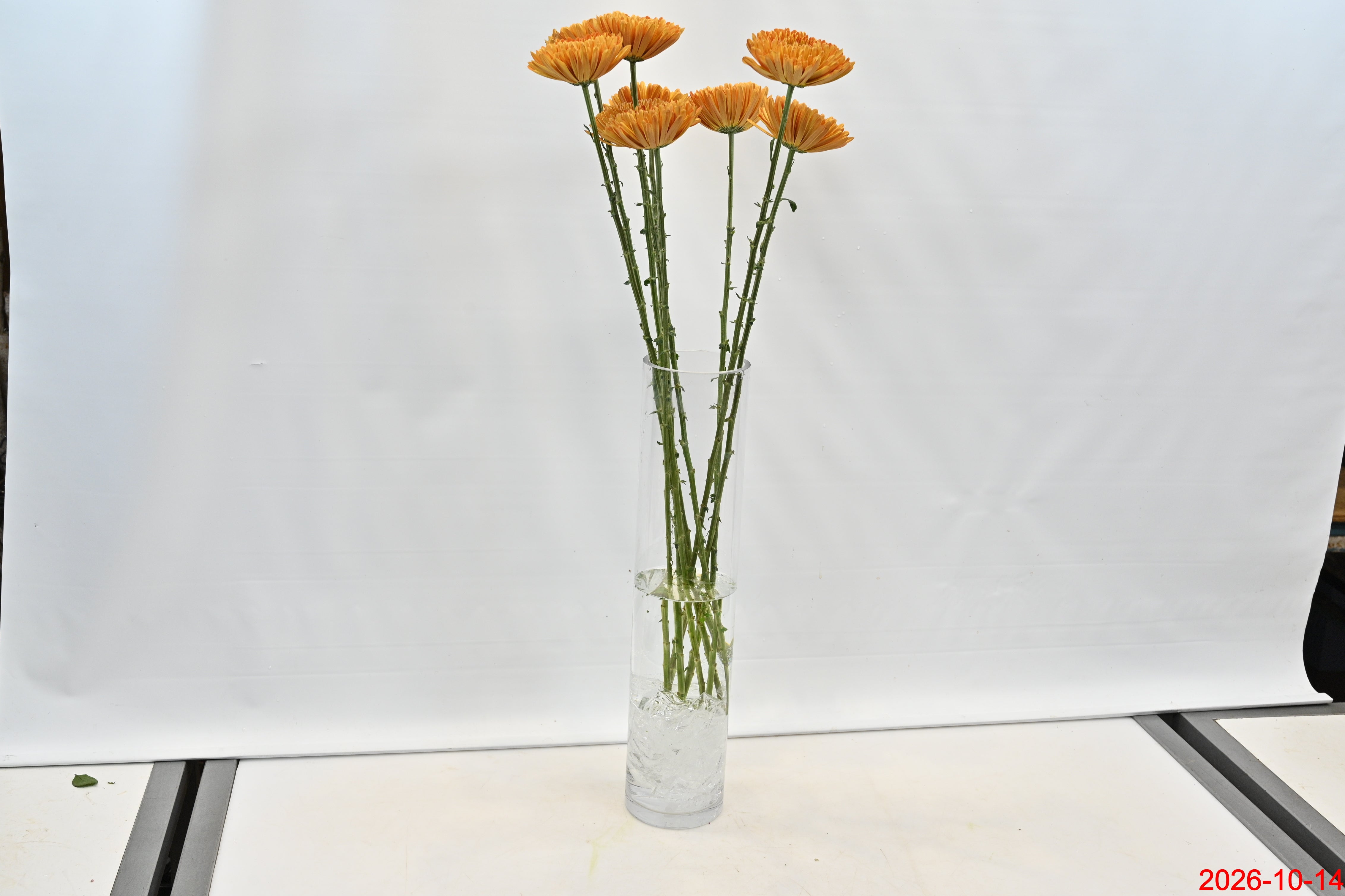 CREMONE BRONZE Small