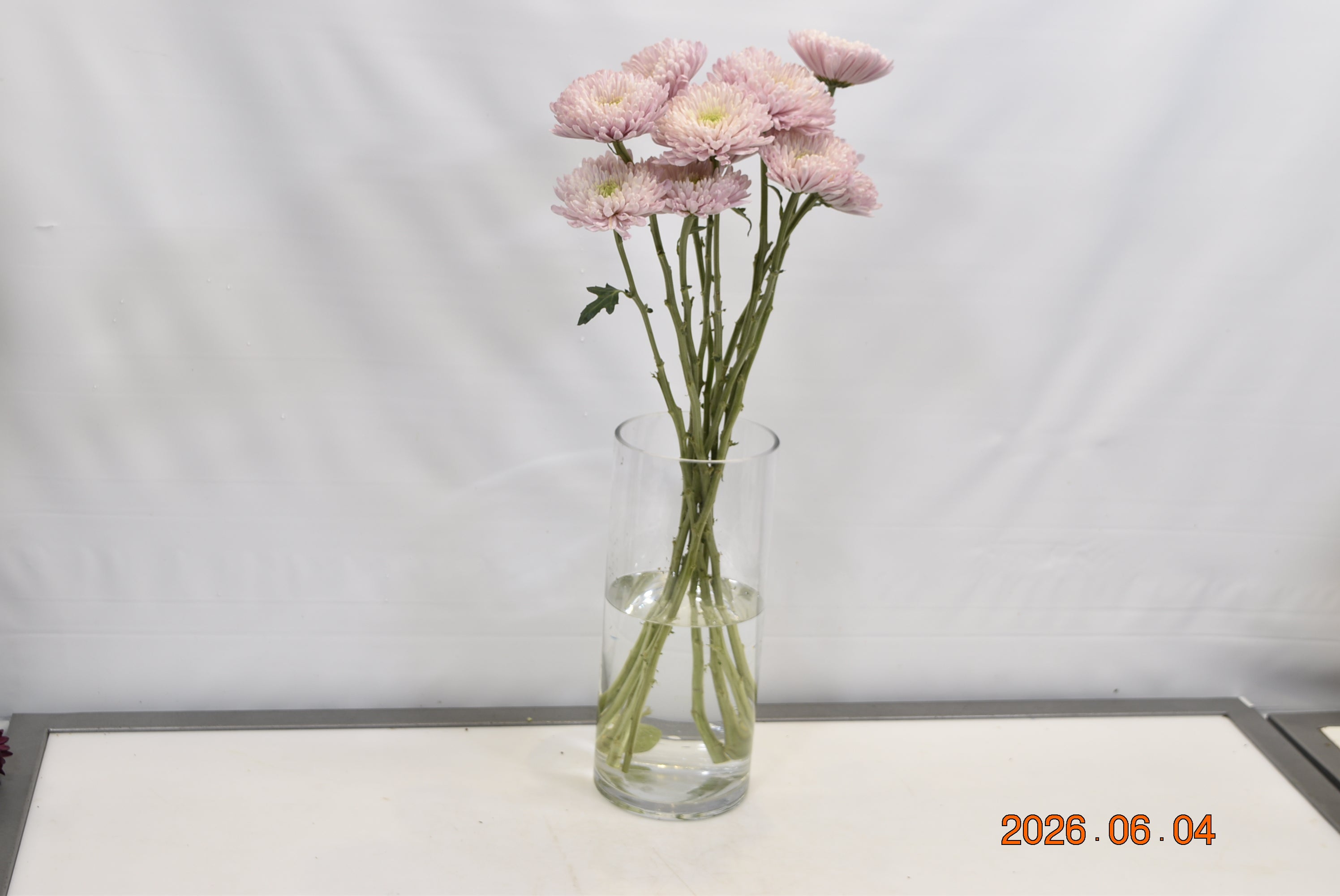 CREMONE EMPRESS PINK Small