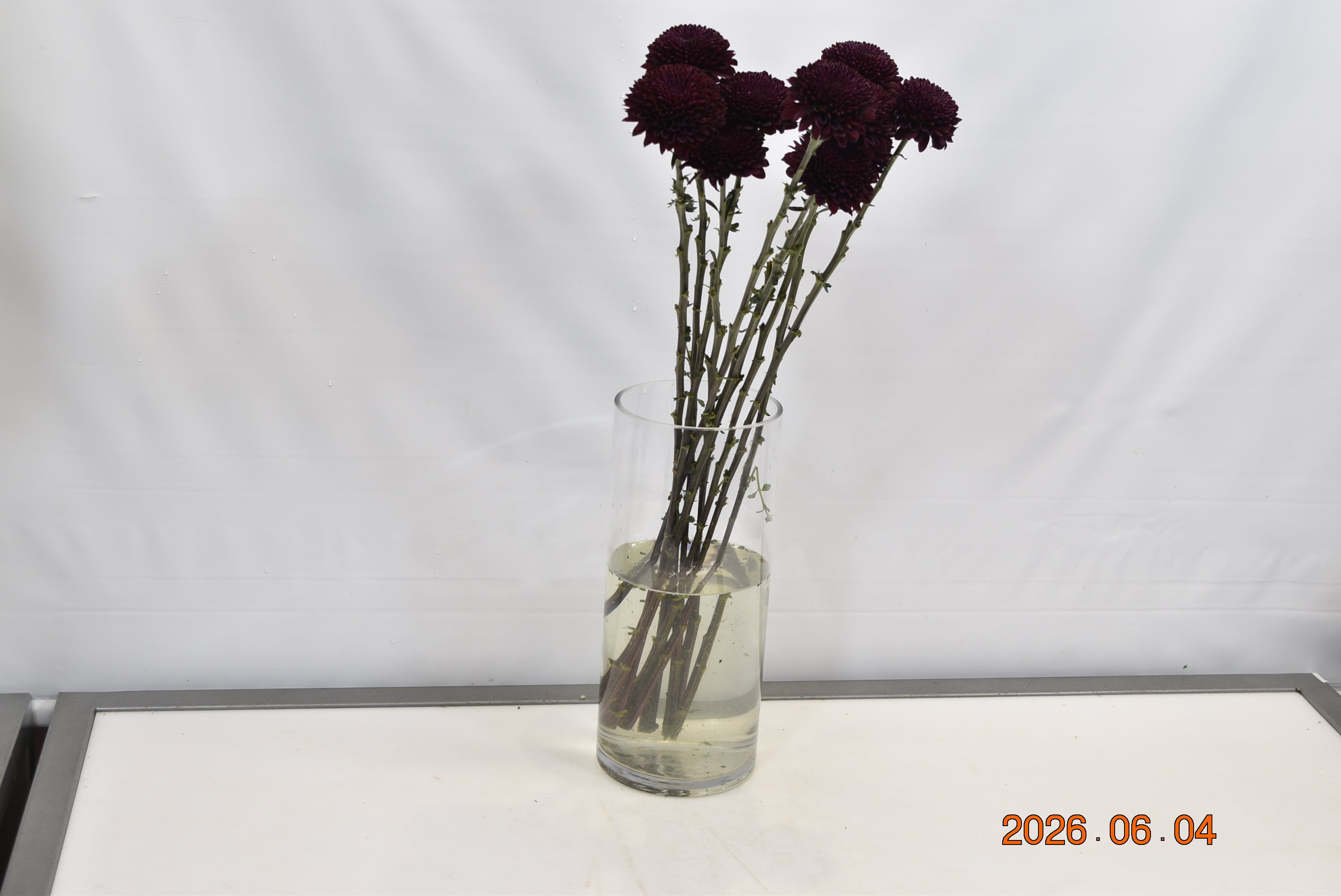 Cremone Ganache Small