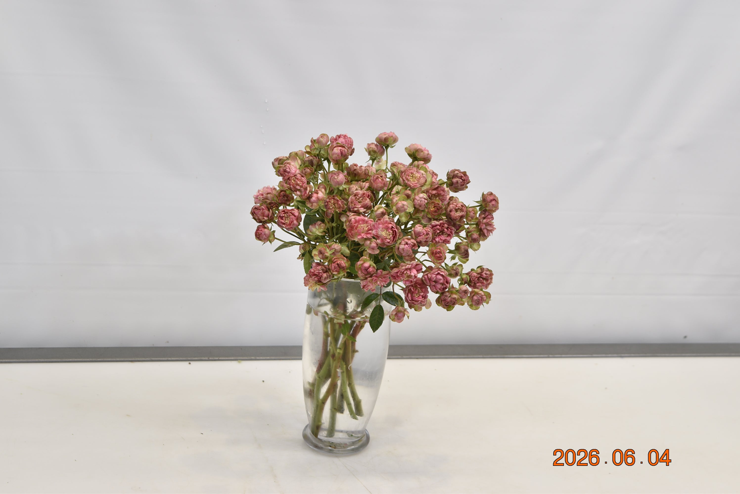 Rose Spray Gypsy Cherry Small