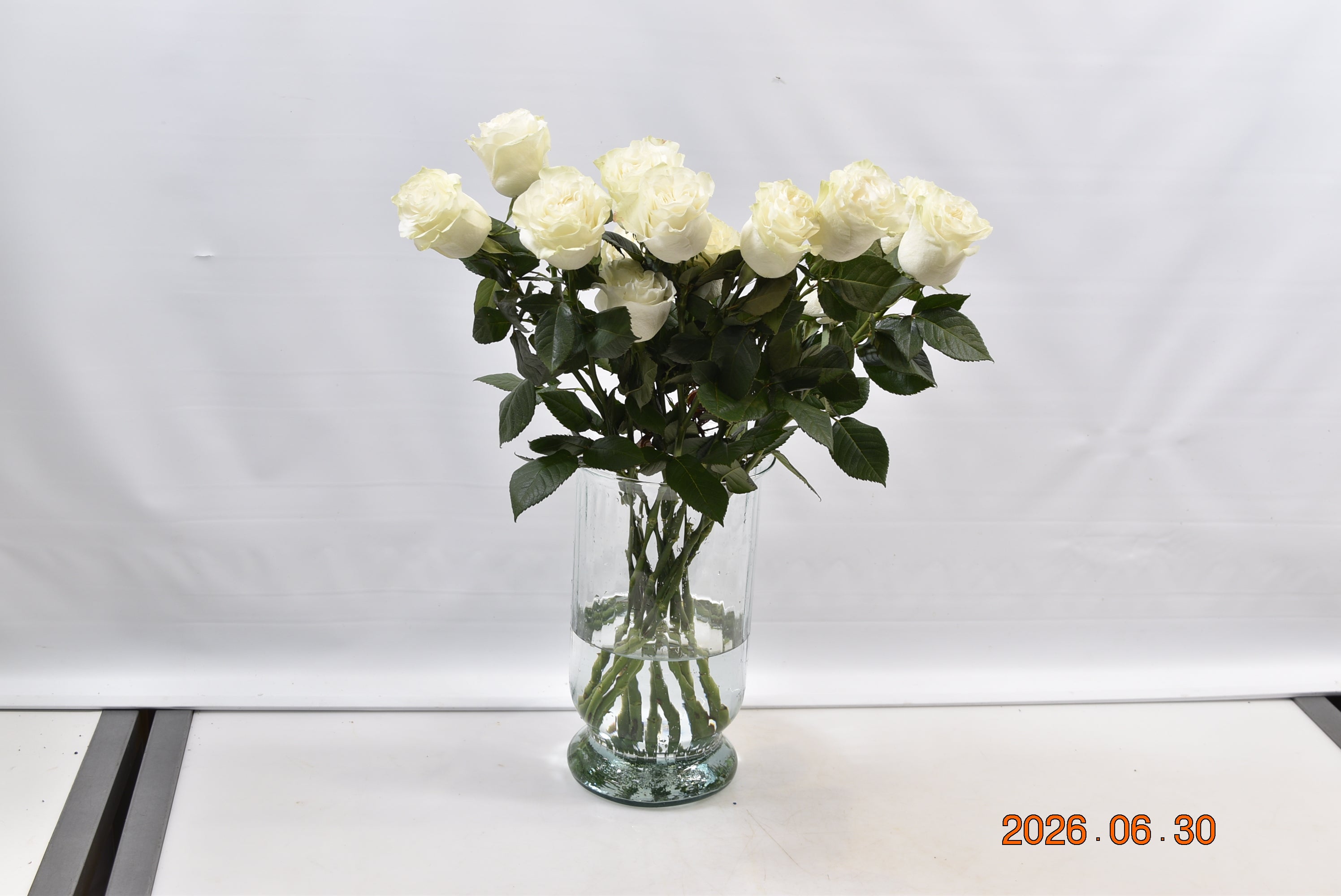 ROSE GARDEN MOONSTONE Small