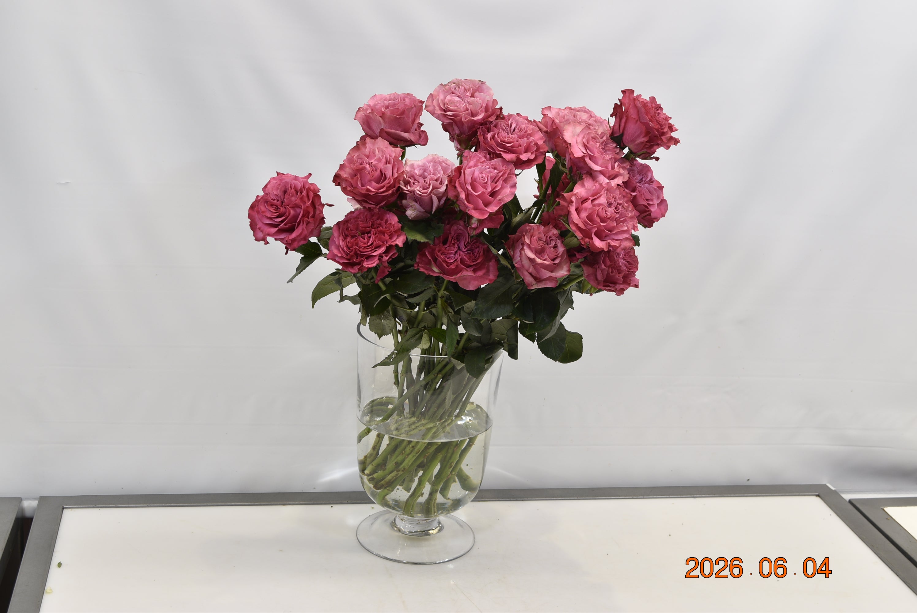 Rose Garden Country Blues Small