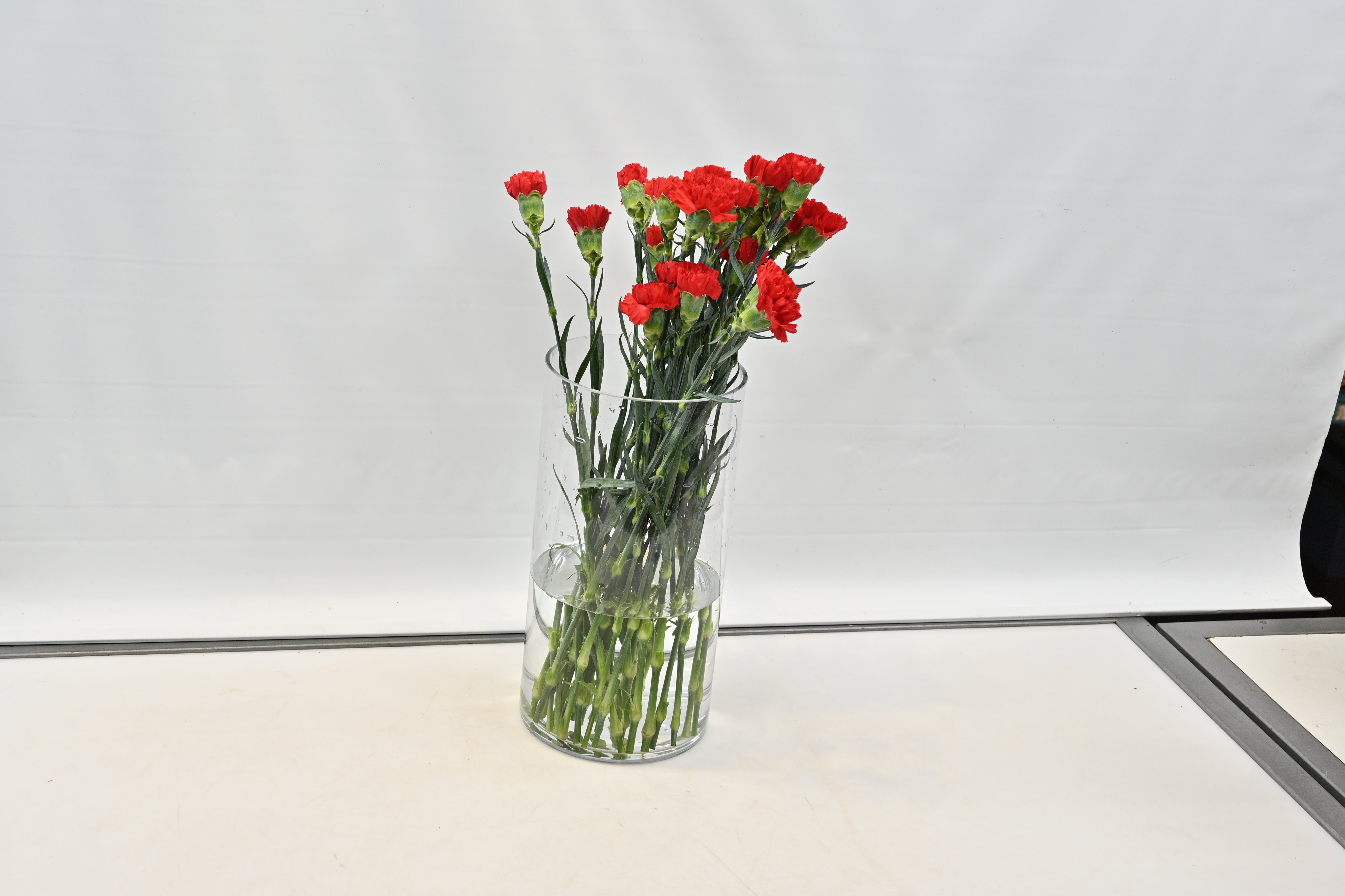 CARNATION RED Small