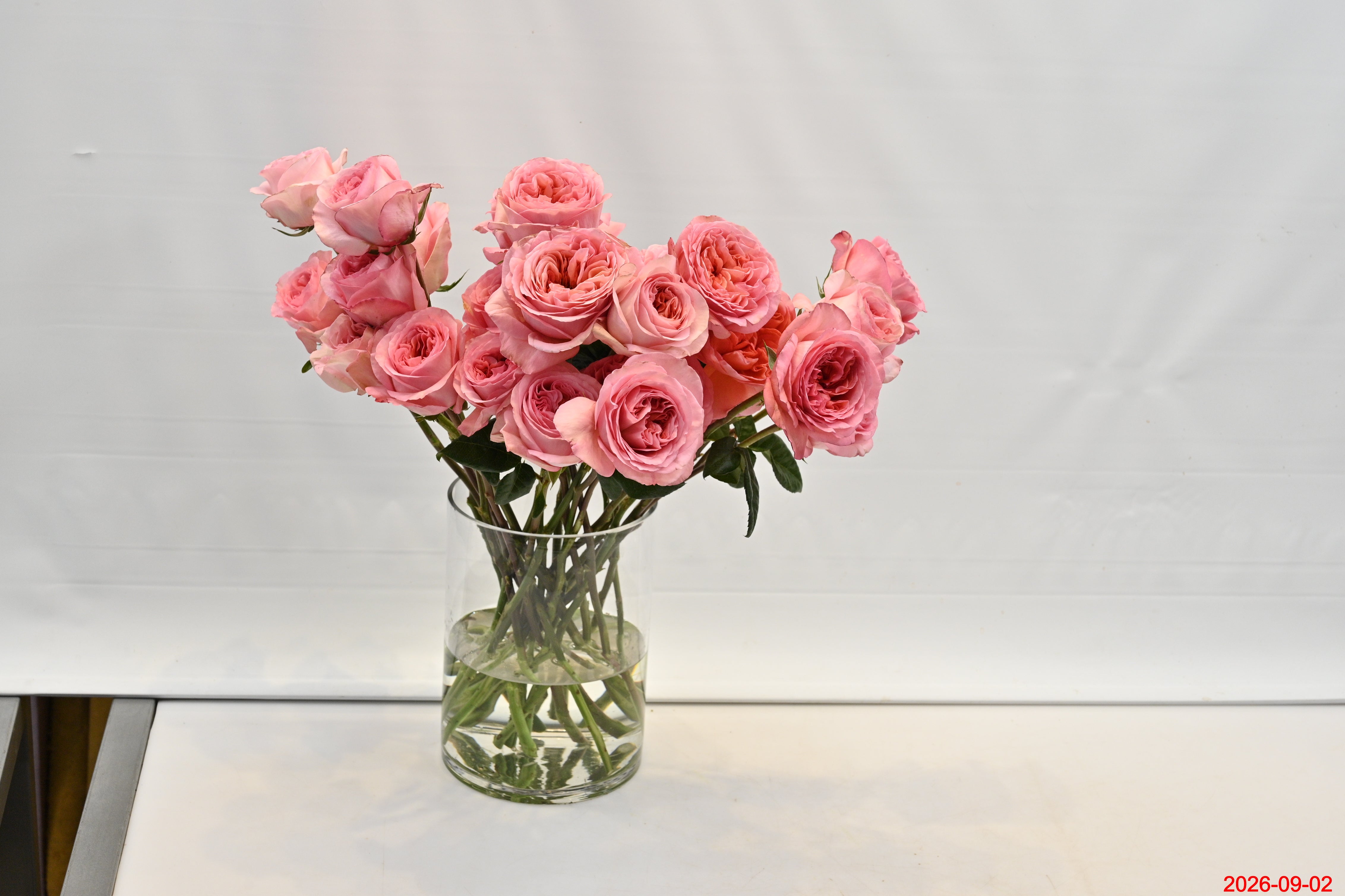 Rose Candy Xpression Small