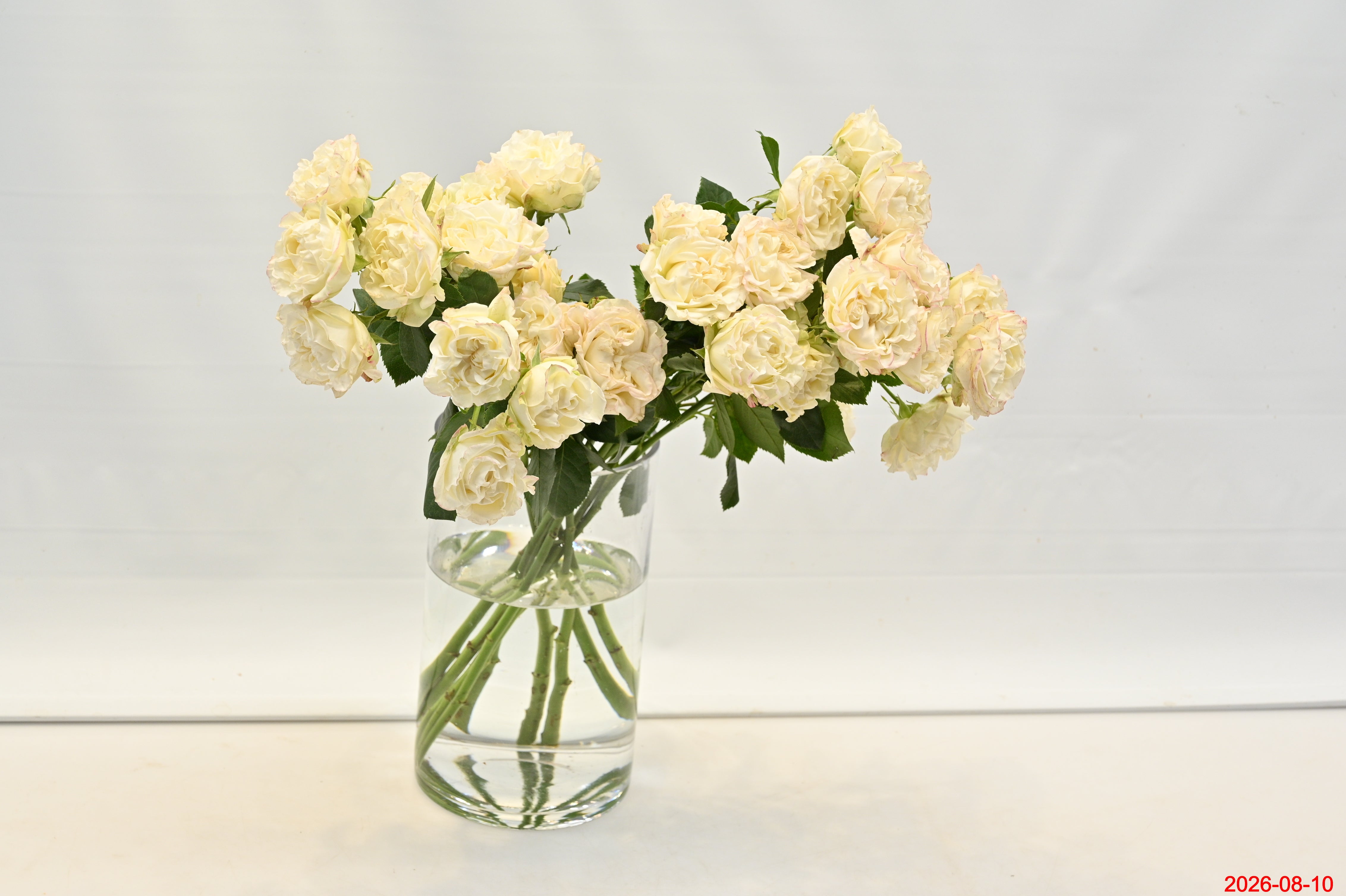Rose Spray Arctic Flow Small