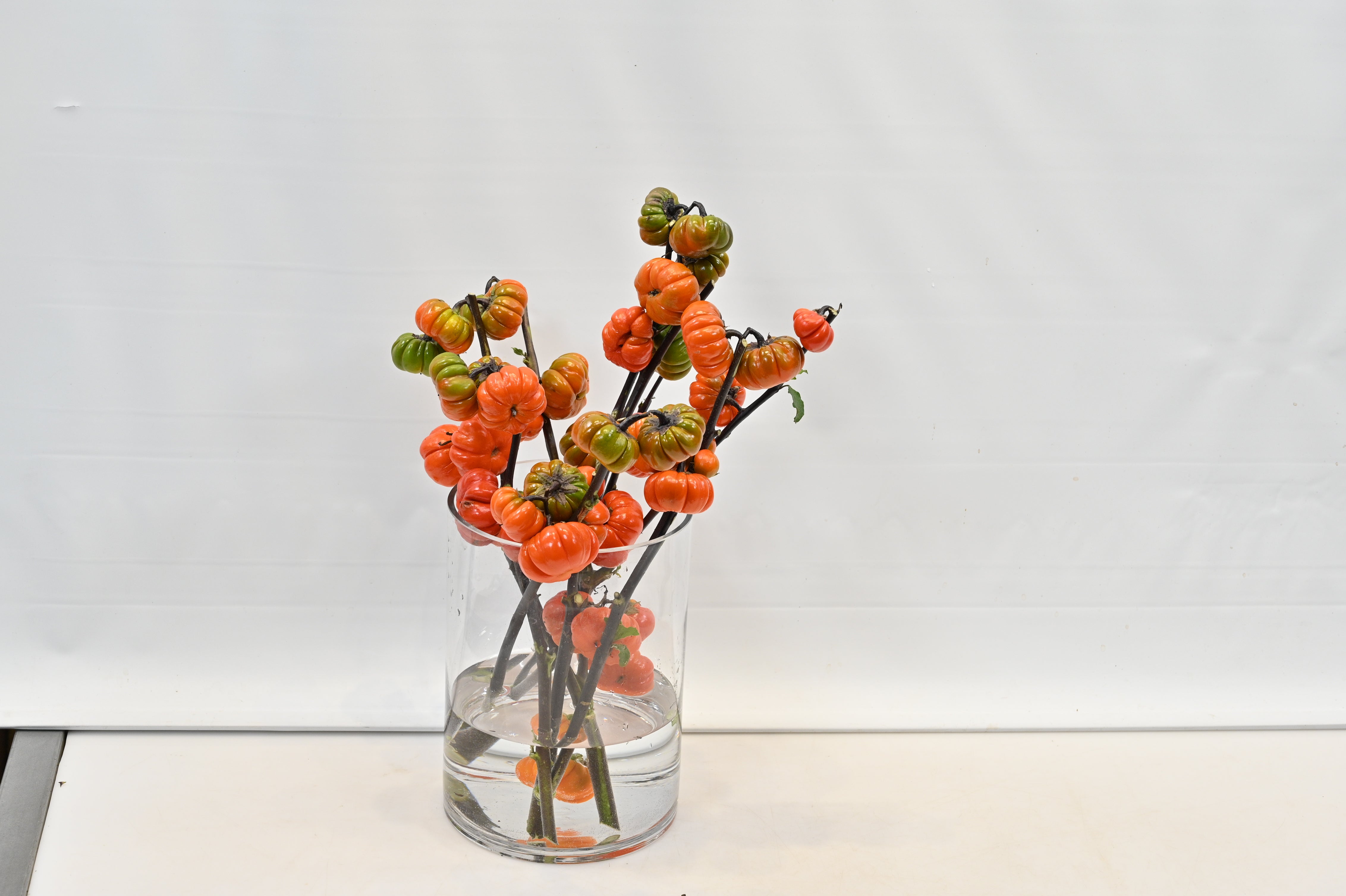 SOLANUM Small