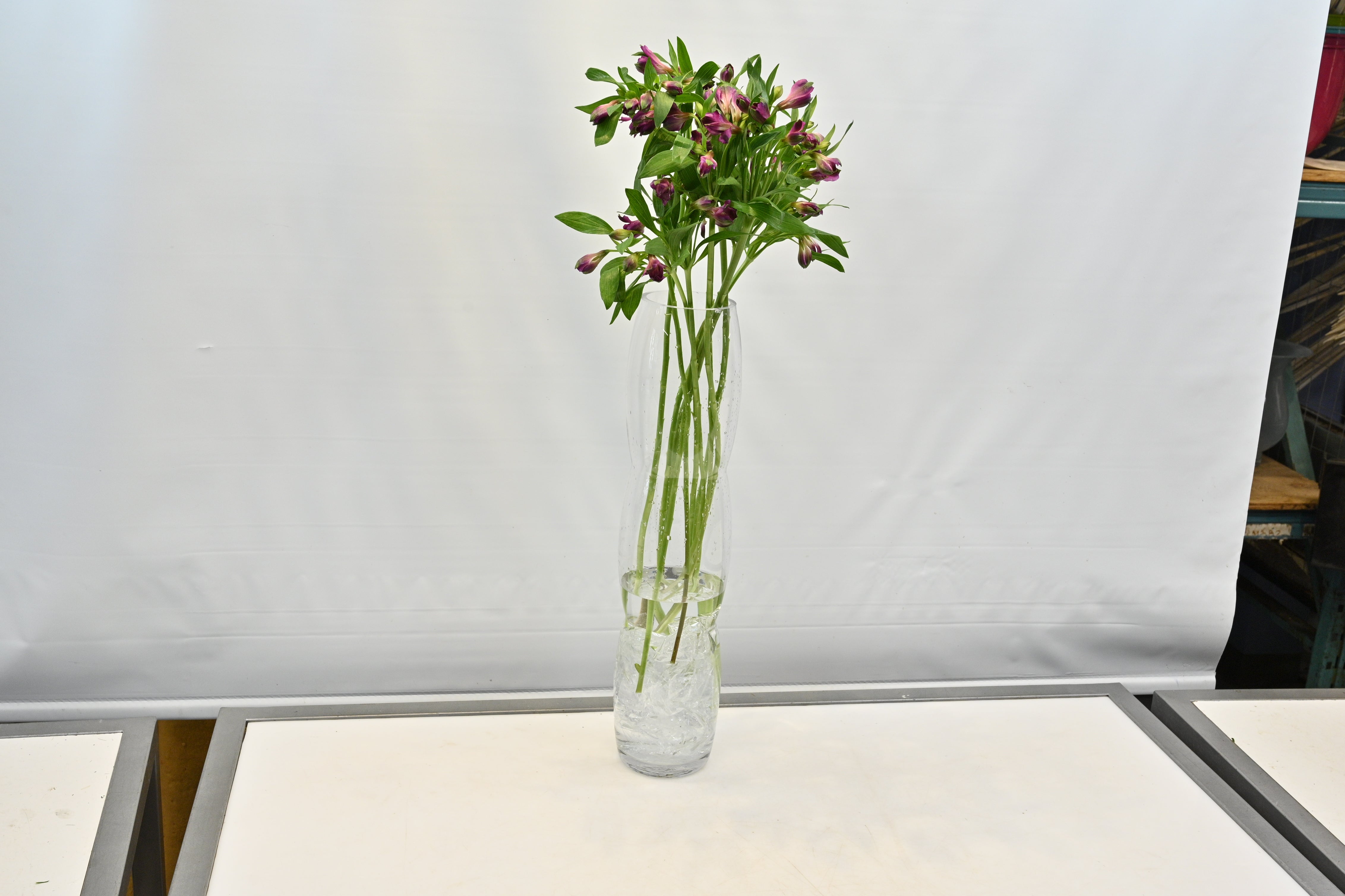 Alstroemeria Carline Small