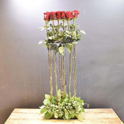 BOUTIQUE ROSE HEDGE image 0