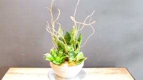 Calm & Collected ProductCarouselURL