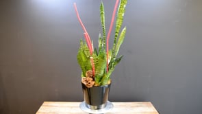 Winter Serpent ProductCarouselURL