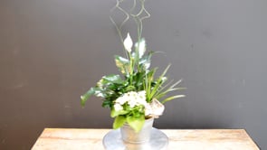 Peaceful Holidays ProductCarouselURL