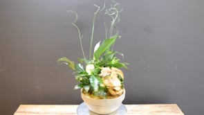 Tropical Gold Serenity ProductCarouselURL
