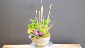 Zen Tropica ProductCarouselURL