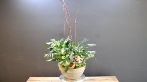 Time For Good Changes ProductCarouselURL