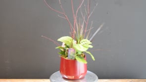 Be Mine Bloom Bowl ProductCarouselURL