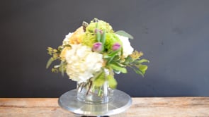 Beatrice Bellini ProductCarouselURL