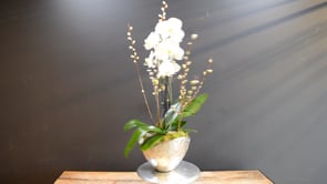 3 Boutique Subtle Beauty Double ProductCarouselURL