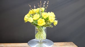Sunlit Willow ProductCarouselURL