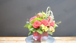 Raspberry Sweetie ProductCarouselURL