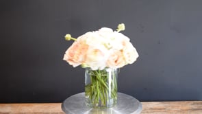 3 Spring Whisper ProductCarouselURL