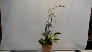 3 White Willow Botanical Suite ProductCarouselURL