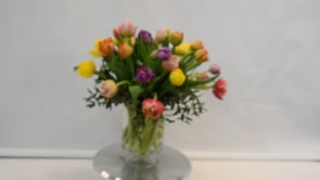 3 Tulip Rainbow Medley ProductCarouselURL