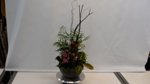 3 Fuchsia Forestry ProductCarouselURL