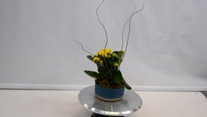 3 Mama’s Mini Garden ProductCarouselURL
