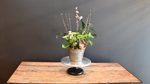 3 Mama's Garden ProductCarouselURL